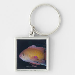 Crimson Seabream Keychain