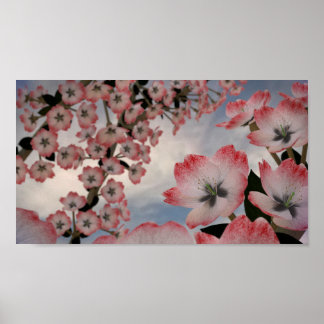 Crimson Snow Blossom Poster