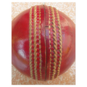 Crimson Stitch Focus: Close-Up of Cricket's Heart