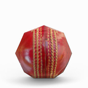 Crimson Stitch Focus: Close-Up of Cricket's Heart Award