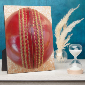 Crimson Stitch Focus: Close-Up of Cricket's Heart Plaque