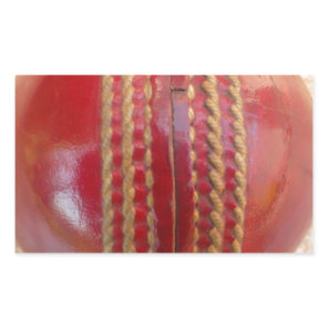 Crimson Stitch Focus: Close-Up of Cricket's Heart Rectangular Sticker