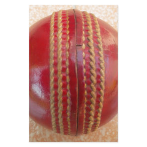 Crimson Stitch Focus: Close-Up of Cricket's Heart Stationery