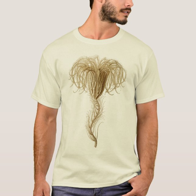 Crinoids T-Shirt (Front)
