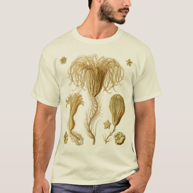 Crinoids T-Shirt (Front)