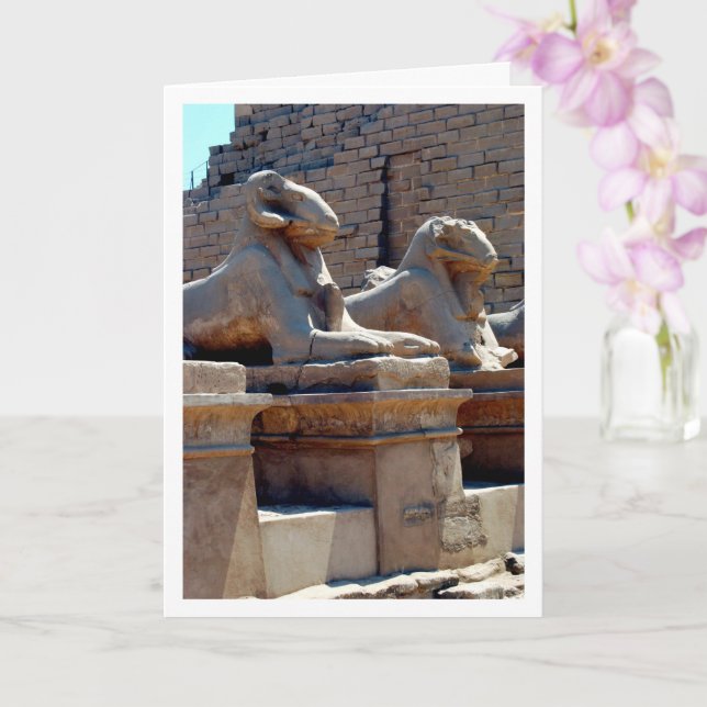 Crio-Sphinx Statues In Karnak Temple, Luxor, Egypt Card (Orchid)