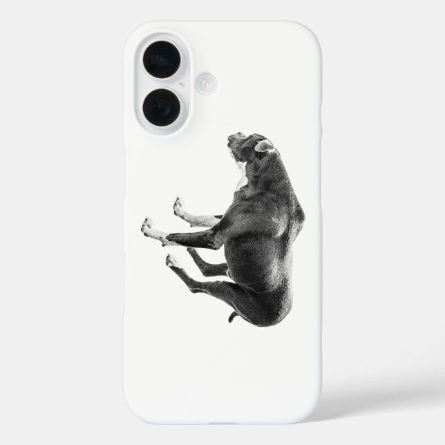 Crisp-Air Companion Case-Mate iPhone Case (Back)