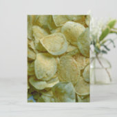 Crispy potato chips (Standing Front)