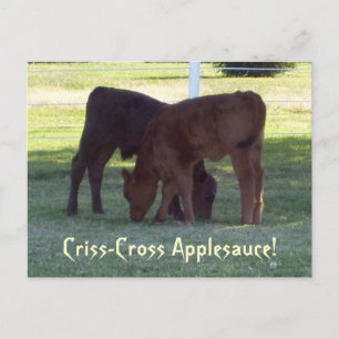Criss-Cross Applesauce! Calves Postcard