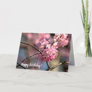 Crisscrossed Sakura Tree Twigs In The Garden Card