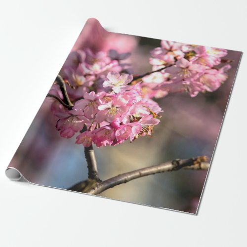 Crisscrossed Sakura Tree Twigs Wrapping Paper
