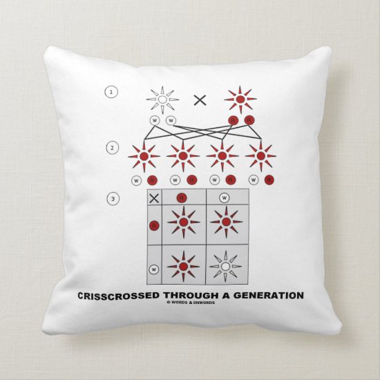 Crisscrossed Through A Generation (Punnett Square) Throw Pillow