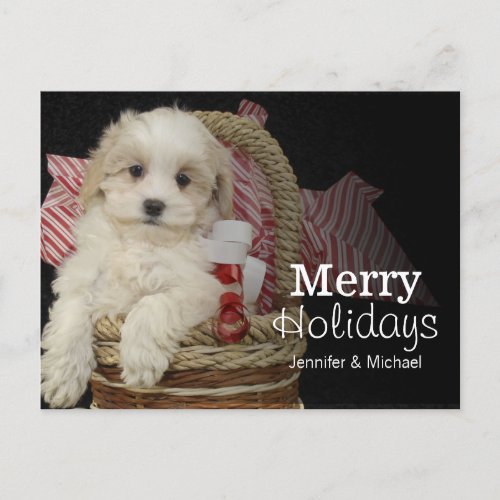 Cristmas Malti_poo puppy sitting in basket Holiday Postcard