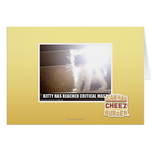 Critical Mass Kitty (Front Horizontal)