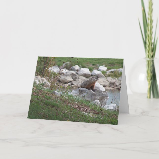 Critter At The Lake Card (Front)