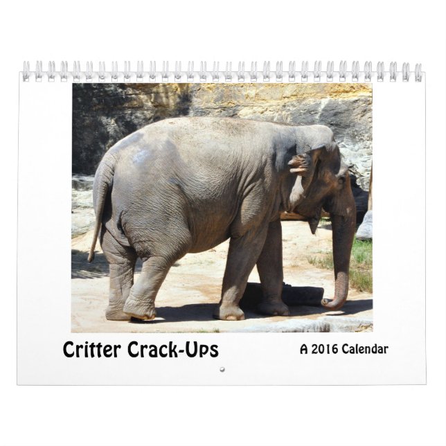 Critter Crack-Ups, a Humorous Animal Calendar (Cover)