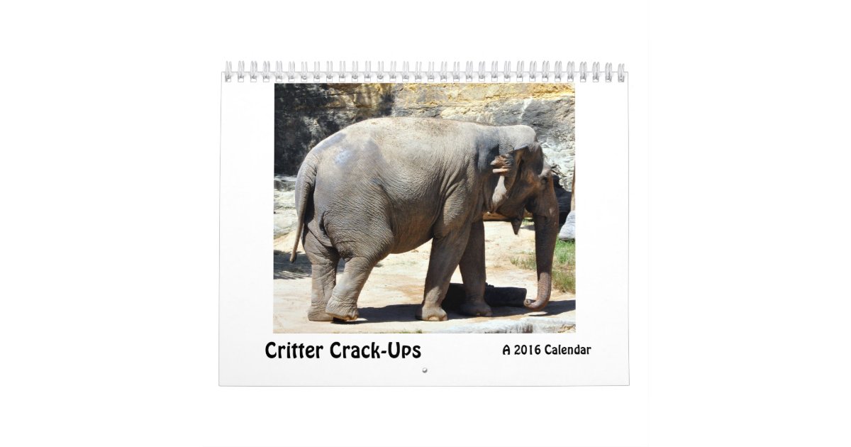 Critter Crack-Ups, a Humorous Animal Calendar | Zazzle