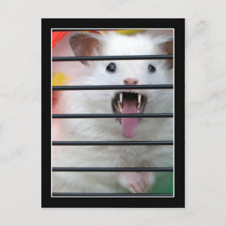 Critter is a  Mean Hamster Postcard