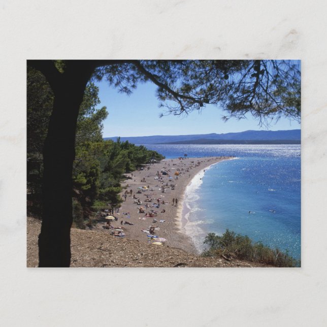 Croatia, Brac Island, Bol, Golden Cape Beach Postcard (Front)