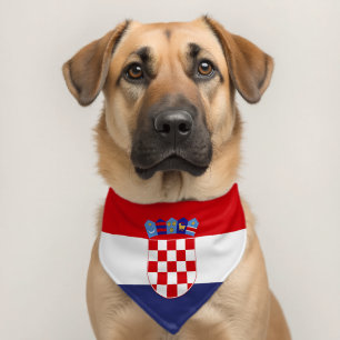 Croatia flag pet bandana collar