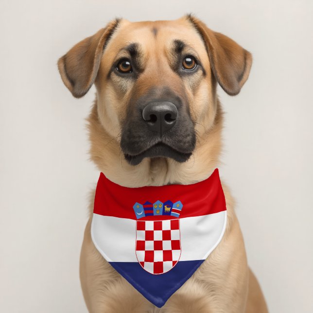 Croatia flag pet bandana collar (Dog 2)
