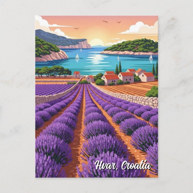 Croatia Hvar Lavendar Fields Postcard (Front)