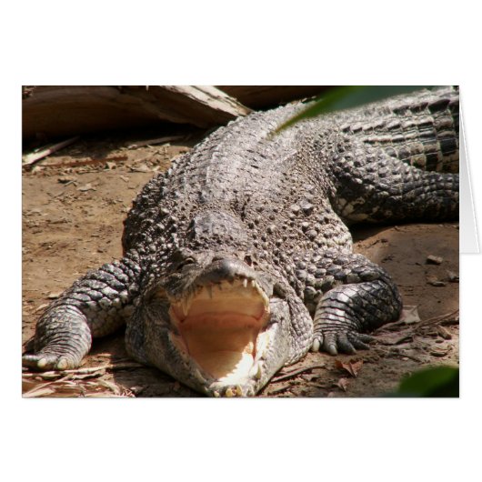 Croc Smile Cards (Front Horizontal)