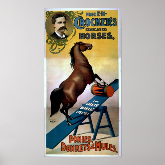 CROCKER'S Educated Horses Act VAUDEVILLE Poster