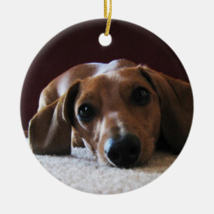 crockettsperfectpic ceramic ornament