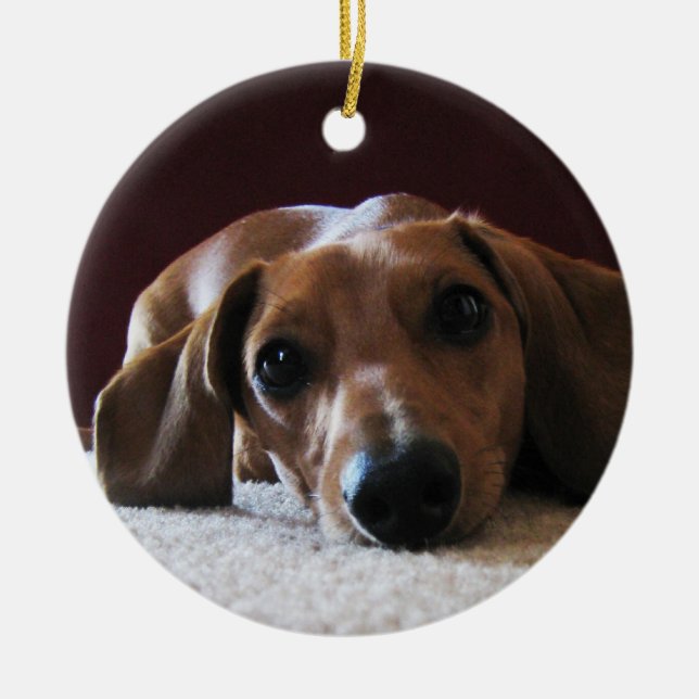 crockettsperfectpic ceramic ornament (Front)