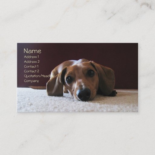 Customizable crockettsperfectpic, Name, Address 1, Address 2... Business Cards