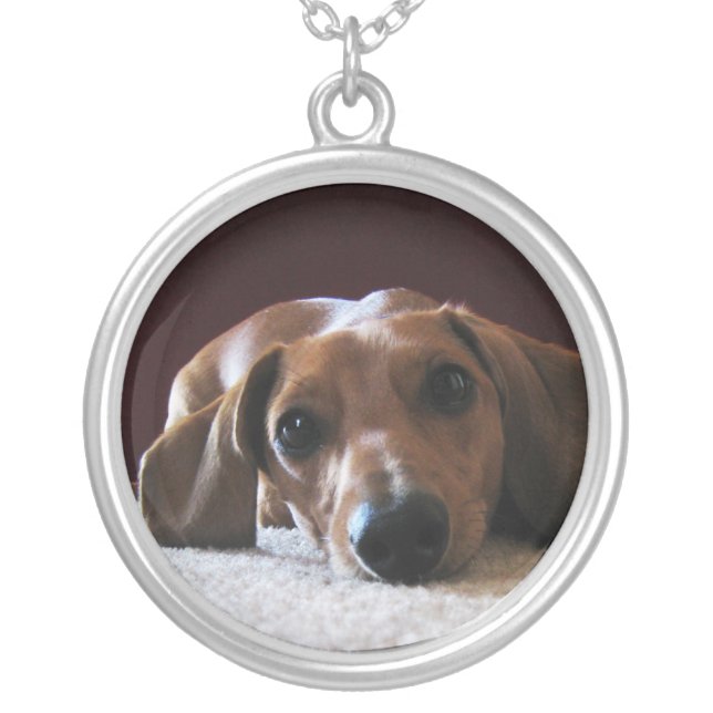 crockettsperfectpic silver plated necklace (Front)