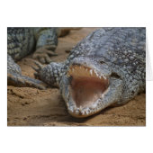 Crocodile (Front Horizontal)