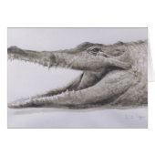 Crocodile 2005 (Front Horizontal)