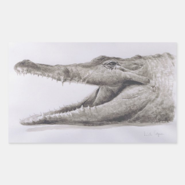 Crocodile 2005 rectangular sticker (Front)