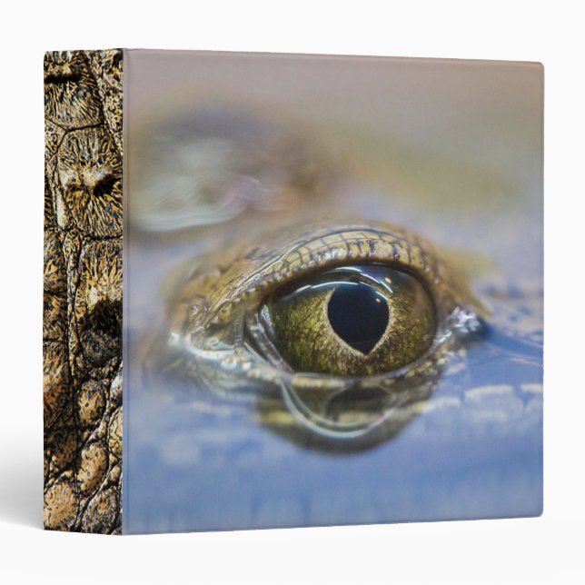 Crocodile 3 Ring Binder (Front/Spine)