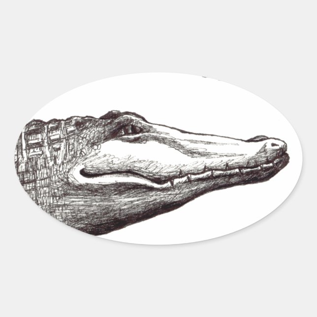 Crocodile alligator dragonflies fun art drawing oval sticker (Front)