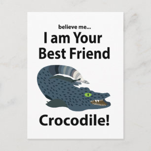 Crocodile Alligator Funny Postcard