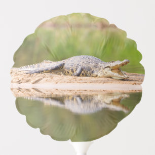 Crocodile Balloon