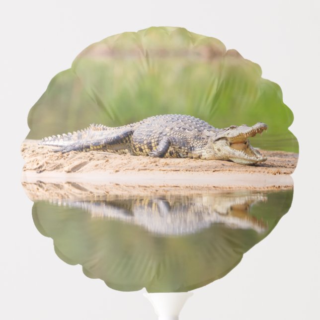 Crocodile Balloon (Front)