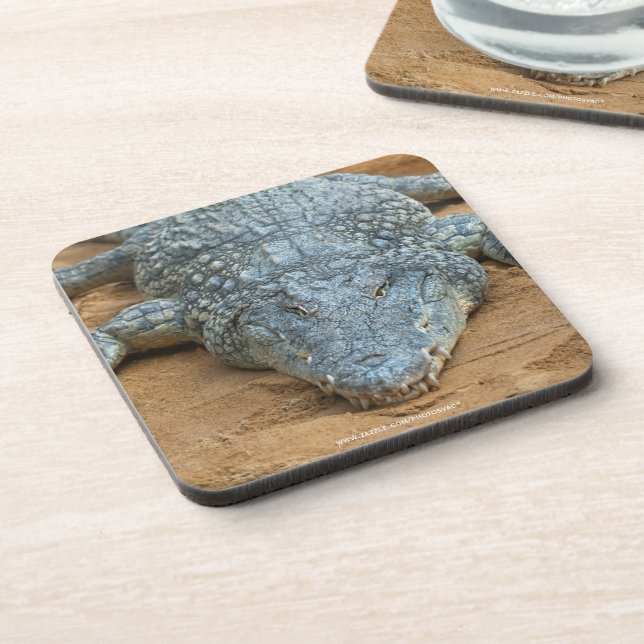 Crocodile Beverage Coaster (Left Side)