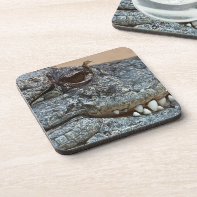 Crocodile Beverage Coaster (Left Side)