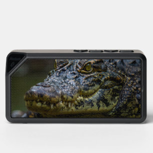 crocodile bluetooth speaker
