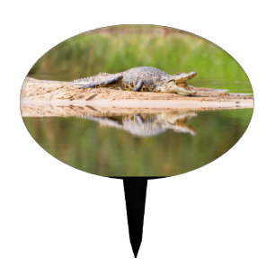 Crocodile Cake Topper