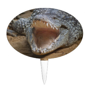 Crocodile Cake Topper