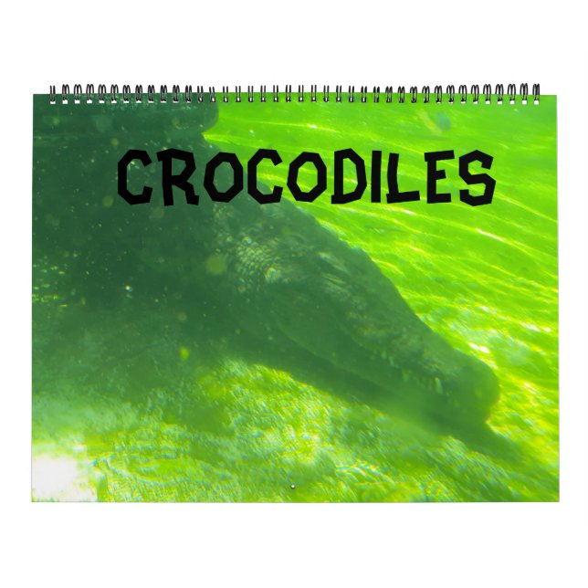 Crocodile Calendar  (Cover)