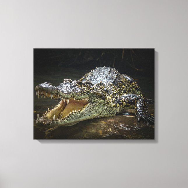 Crocodile Canvas Print  (Front)