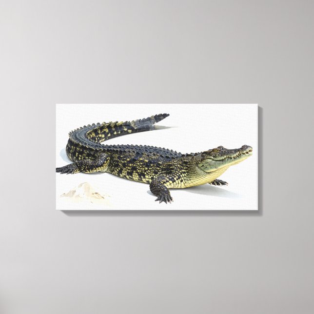 Crocodile Canvas Print (Front)
