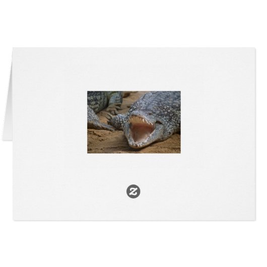Crocodile Cards (Back Horizontal)