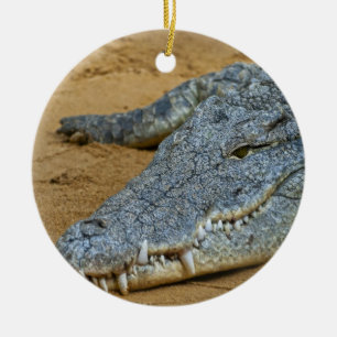 Crocodile Ceramic Ornament